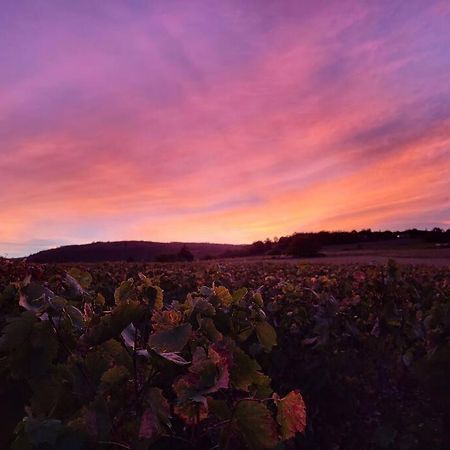 Le Clos Du Botaniste Pouilly-le-Monial Εξωτερικό φωτογραφία