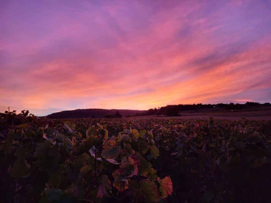 Le Clos Du Botaniste Pouilly-le-Monial Εξωτερικό φωτογραφία