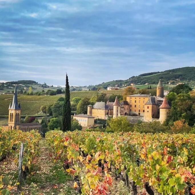 Le Clos Du Botaniste Pouilly-le-Monial Εξωτερικό φωτογραφία